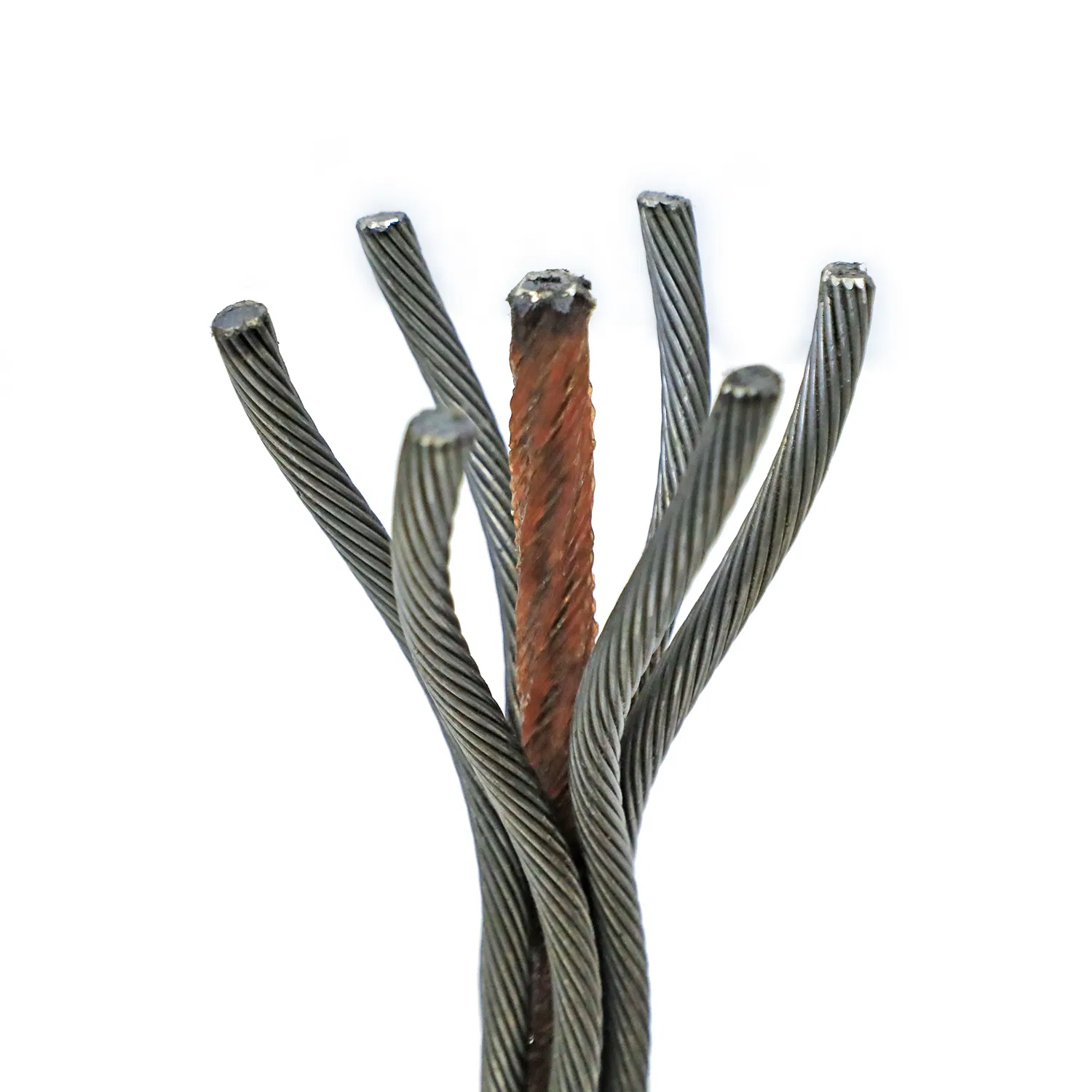 Opened steel wire rope end with a visible polymer-covered core
